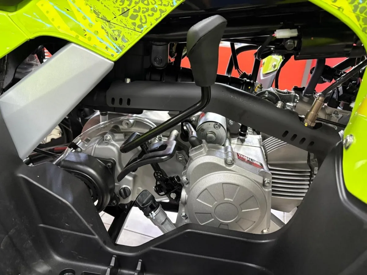 YAMAHA RAPTOR 110 2026 — foto 6